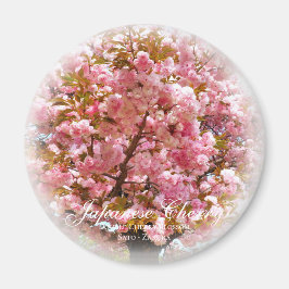 Imã Dupla Flor de Cerejeira: Sato-zakura