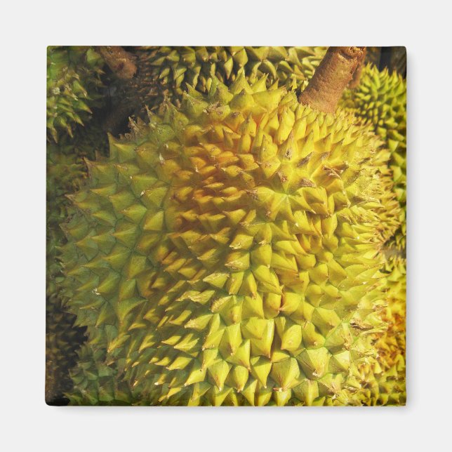 Imã Durian Fruta (Frente)