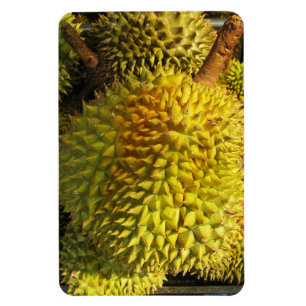 Ímã Durian Fruta