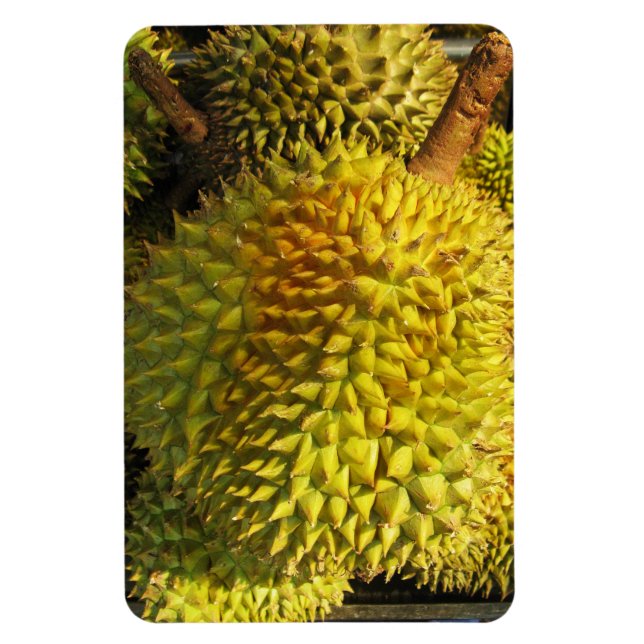 Ímã Durian Fruta (Vertical)