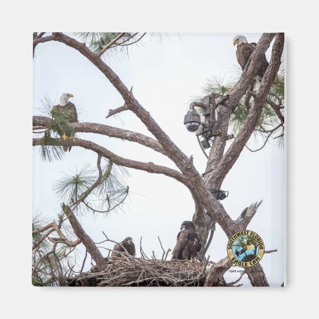 Imã E10 e E11 + Magnet da família (Frente)