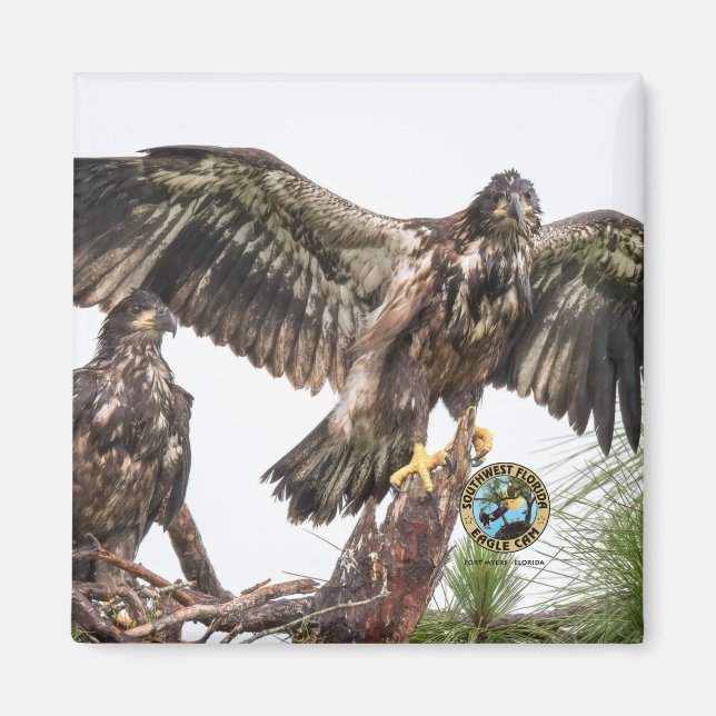 Imã E15 E16 Memorial Magnet (Frente)