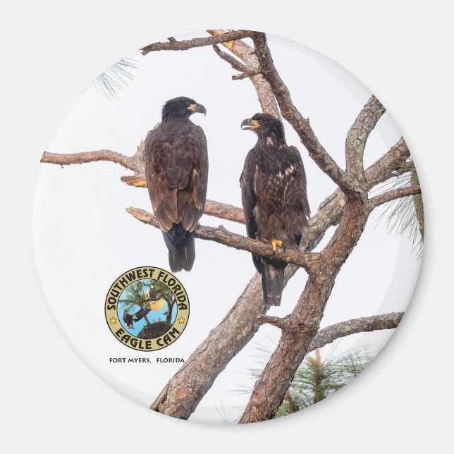 Imã E21 & E22 Best Buds Season 11 (Frente)