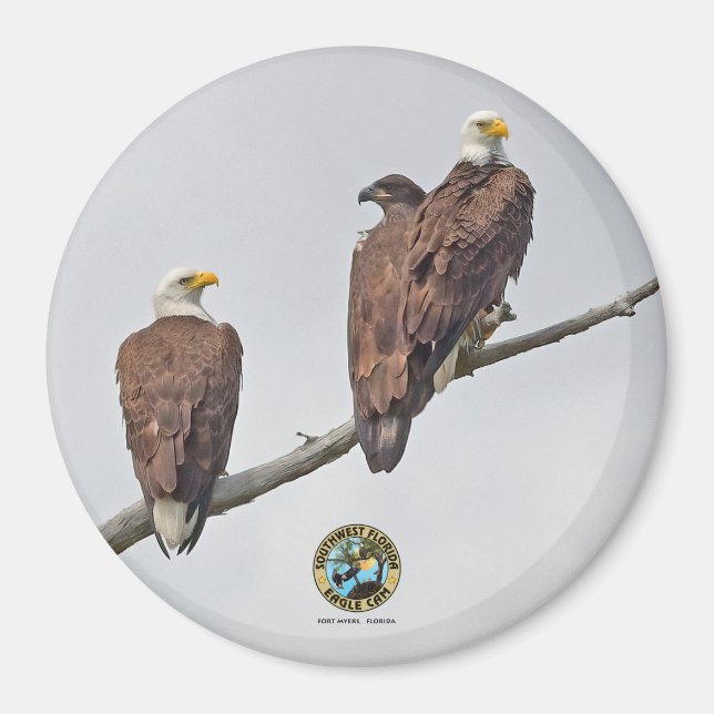 Imã E23 & Family- M15, F23 & First Eaglet (Frente)