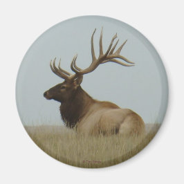 Imã E5 Bull Elk Big Bull