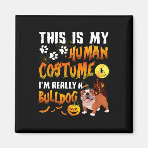 Imã É a minha fantasia humana que eu sou um Bulldog Ha