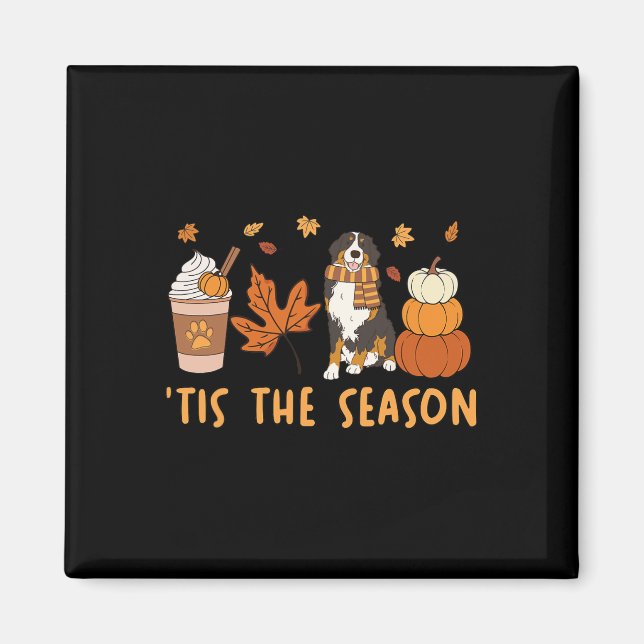 Imã É a Temporada Bernese Mountain Dog Outono Abóbora  (Frente)