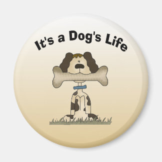 Imã É a vida de um cão