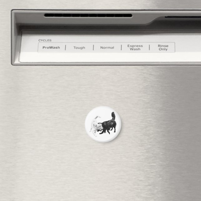 Imã É Assim Que Nós Brincamos (In Situ (Dishwasher))