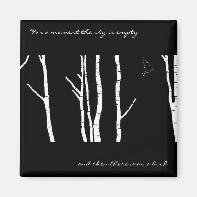 Imã E depois havia um pássaro (Frente)