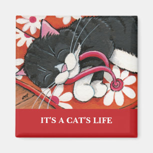 Imã É ímã da arte do gato da vida   Personalizable 