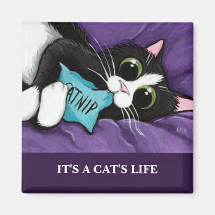 Imã É ímã da arte do gato da vida   Personalizable 
