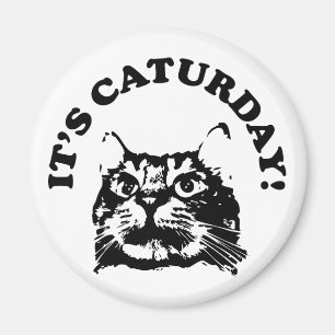 Imã É ímã de Caturday