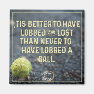 Imã É melhor ter íman de lobby