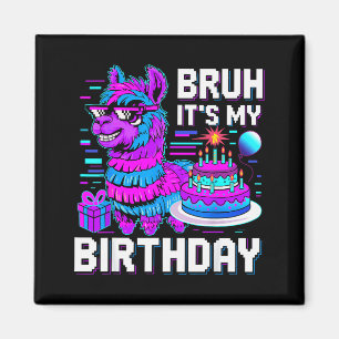 Imã É Meu Aniversário Lhama Nata Menino Menina Família