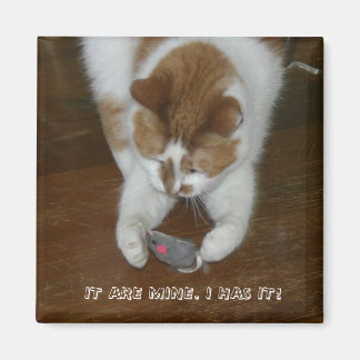 IMÃ É MEU. EU TENHO!