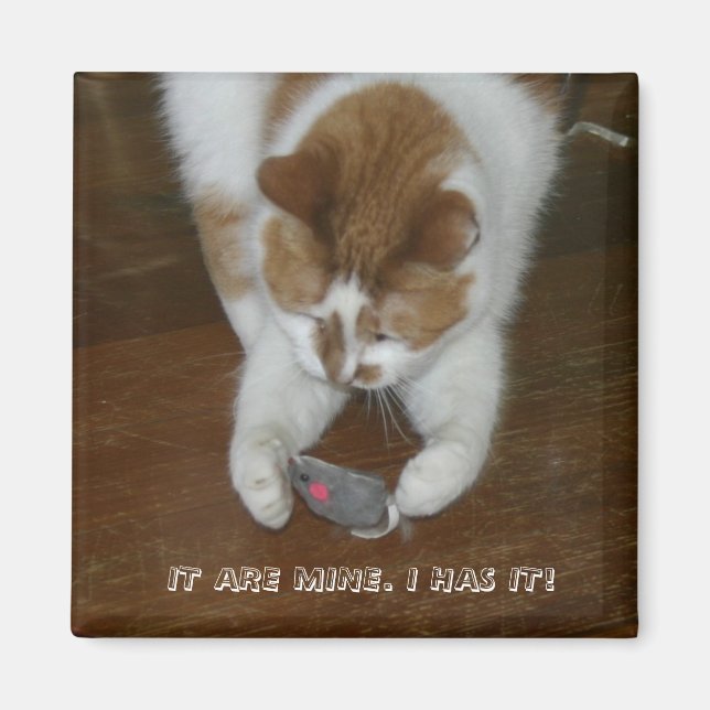 IMÃ É MEU. EU TENHO! (Frente)