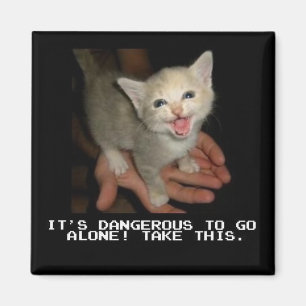 Imã É Perigoso Ir Sozinho