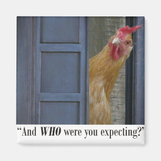 Imã "E QUEM você esperava?" Íman