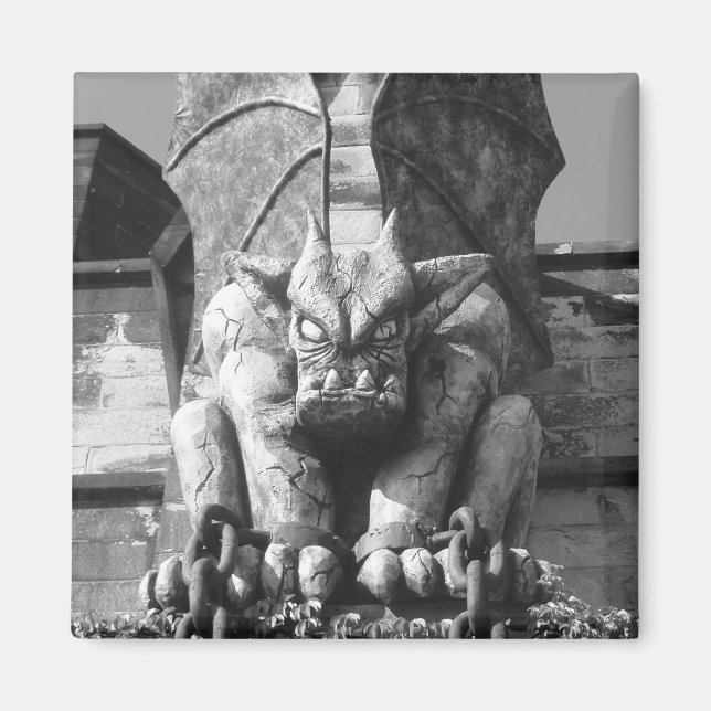Imã E.S.Caneta. Gargoyle Magnet (Frente)