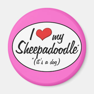 Imã É um cão! Eu amo meu Sheepadoodle