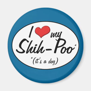 Imã É um cão! Eu amo meu Shih-Poo