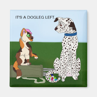 IMÃ É UM DOGLEG À ESQUERDA