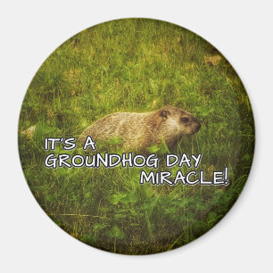Imã É um ímã do milagre do dia de groundhog