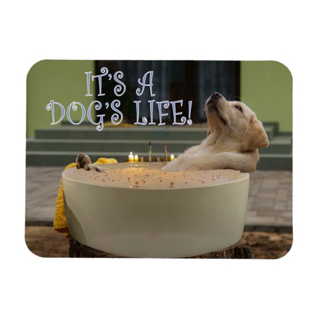 Ímã É um íman de vida para cães (Horizontal)