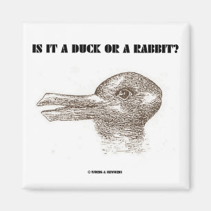 Imã É um pato ou um coelho? (Ilusão óptica)