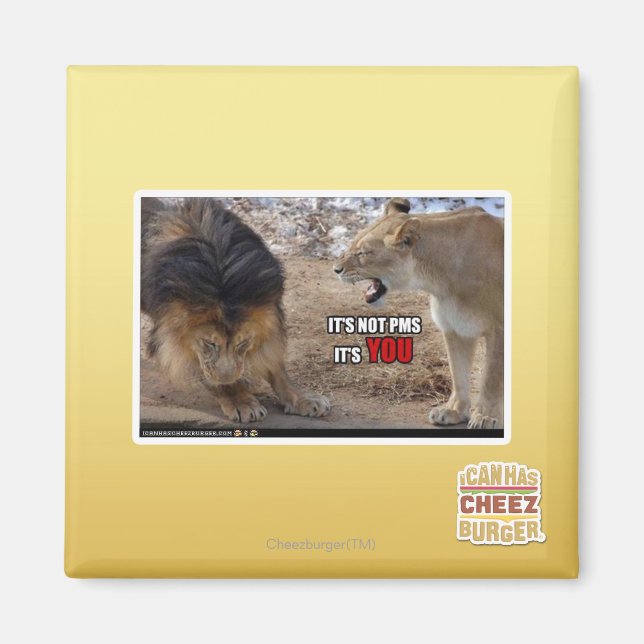 IMÃ É VOCÊ! (Frente)