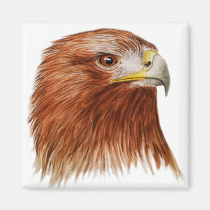 Imã Eagle dourado 2011