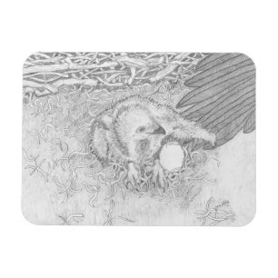 Ímã Eagle E14 no Wing Magnet de Ozzie