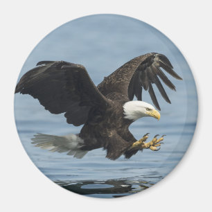 Imã Eagle na aproximação
