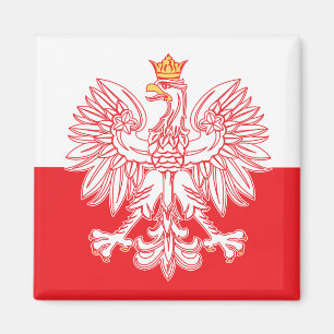 Imã Eagle polonês esboçado no vermelho