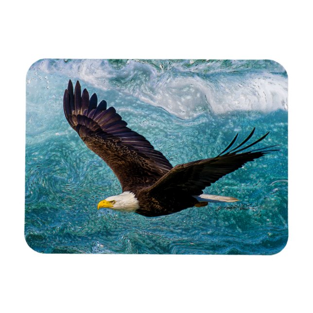 Ímã Eagle Sofrendo acima da tempestade (Horizontal)