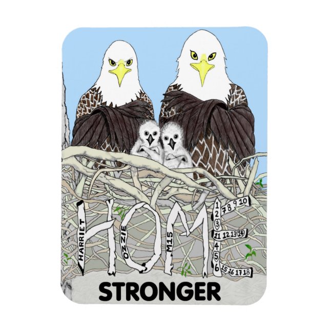 ÍMÃ EAGLES HARRIET, M15, E17 + E18 LIVRO- HOME STRONGE (Vertical)