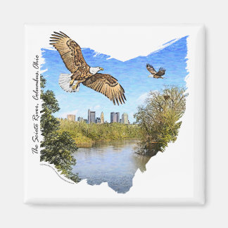 Imã Eagles Scioto River Columbus Ohio Magnet