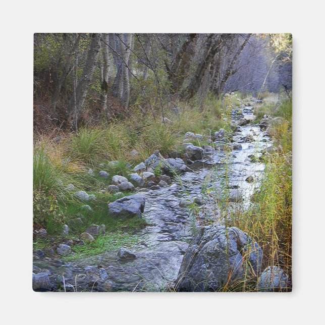 Imã East Fork/Hayfork Creek...... (Frente)