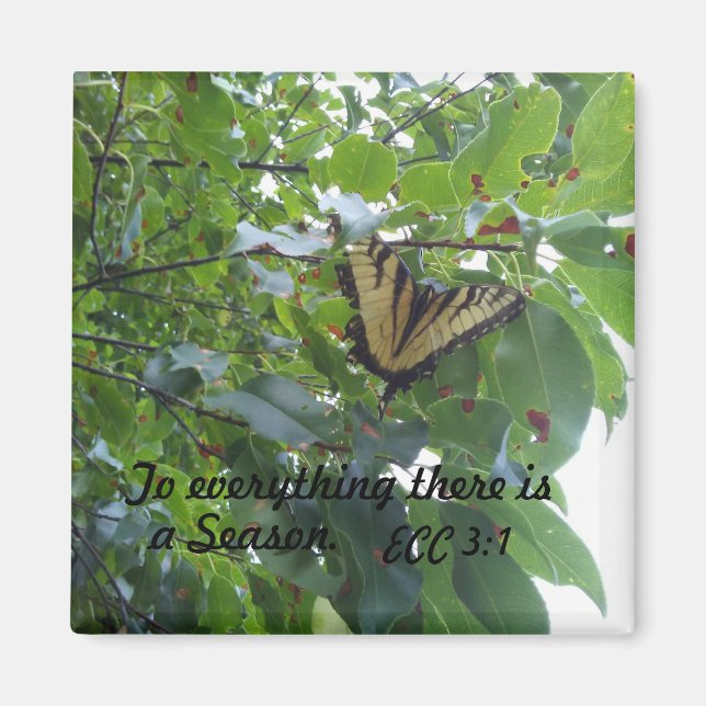 Imã Eclesiastas 3:1 Para tudo que há uma estação (Frente)