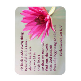 Ímã Eclesiastes 3:11 Tudo bonito em seu tempo