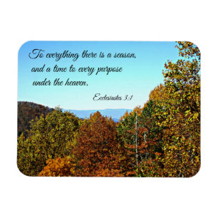 Ímã Eclesiastes 3:1 Para tudo que há uma estação.