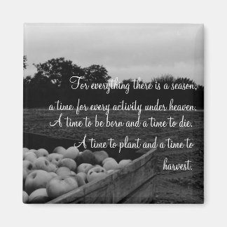 Imã Eclesíastos 3:2