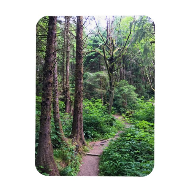Ímã Eco-a State Park, Cannon Beach, Oregon (Vertical)