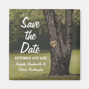 Imã Economias velhas do casamento do carvalho das