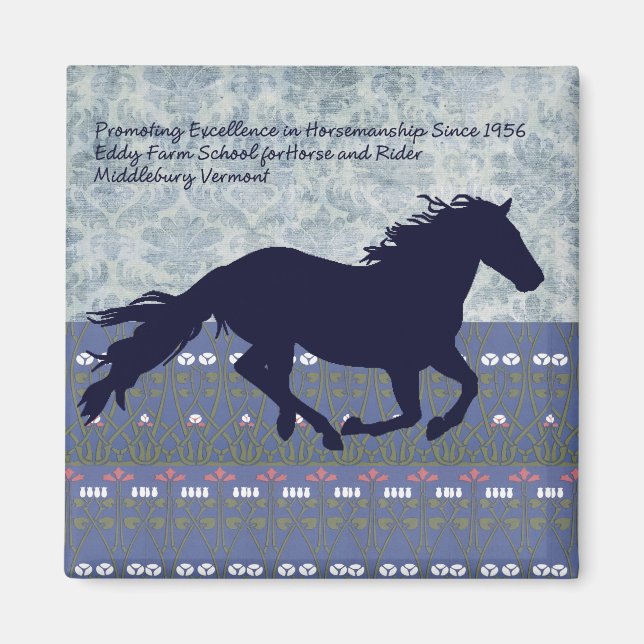 Imã Eddy Fazenda School for Horse and Rider (Frente)