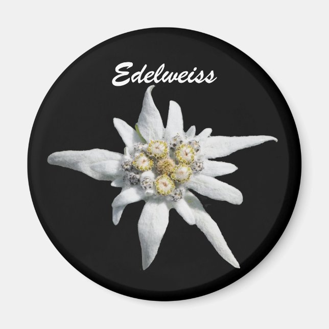 Imã Edelweiss Flower Bloom (Frente)