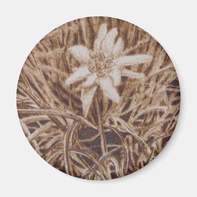 Imã Edelweiss - Stella alpina (Frente)