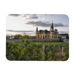 Ímã Edifício de máquinas visto da vinha em