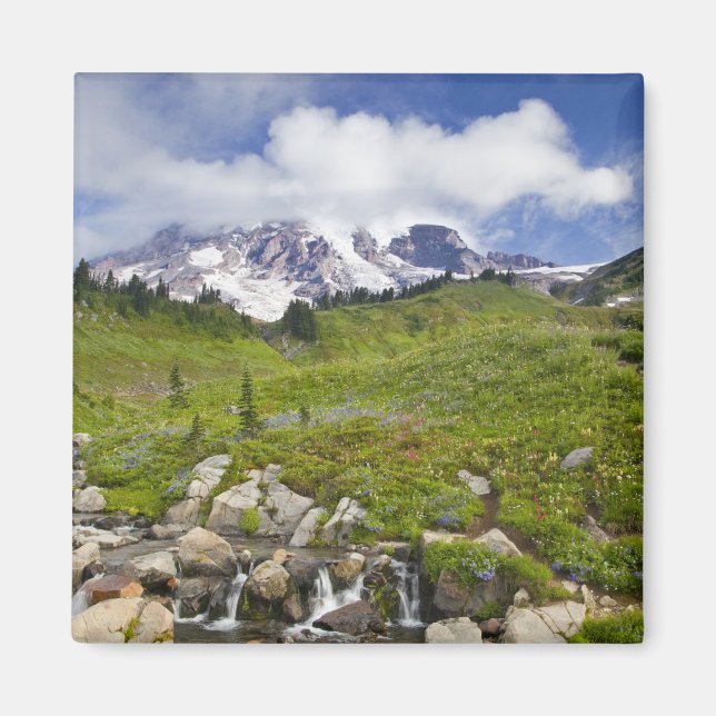 Imã Edith Creek e Prados de Flores Selvagens no Paraís (Frente)